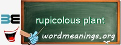 WordMeaning blackboard for rupicolous plant